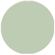 Robes demoiselle d'honneur Vert Sauge en Gros