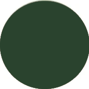 Robes demoiselle d'honneur Vert foncé en Gros