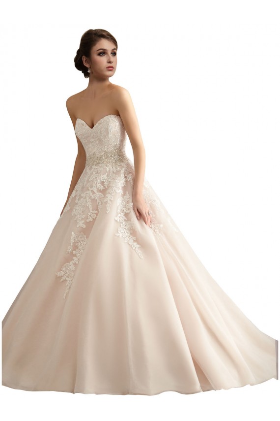 Ivoire & Champagne Princesse Col V Traîne cathédrale Tulle Dentelle Robes de mariée en Gros