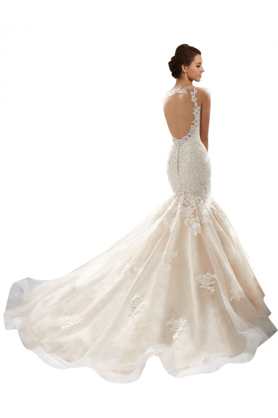 Ivoire & Champagne Sirène Col V Tulle Dentelle Classique Robes de mariée en Gros