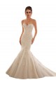 Ivoire & Champagne Sirène Tulle Dentelle Robes de mariée en Gros
