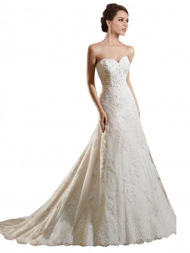 Ivoire & Champagne Trapèze Tulle Dentelle Robes de mariée en Gros