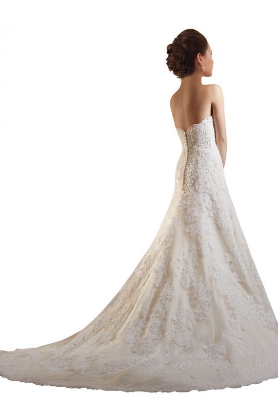 Ivoire & Champagne Trapèze Tulle Dentelle Robes de mariée en Gros